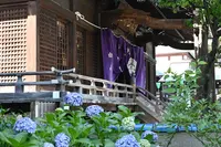 白山神社の写真・動画_image_1620192