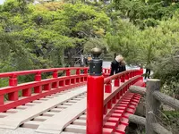 透かし橋の写真・動画_image_1642172
