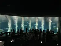 葛西臨海水族園の写真・動画_image_1672699