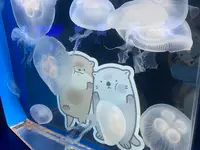 しながわ水族館の写真・動画_image_1672700