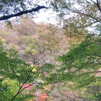 花貫渓谷の写真・動画_image_1716260