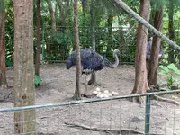 ネオパークオキナワの写真・動画_image_1732561