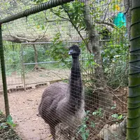 ネオパークオキナワの写真・動画_image_1732562