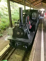 ネオパークオキナワの写真・動画_image_1732566