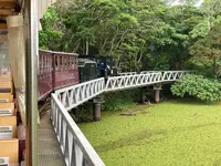 ネオパークオキナワの写真・動画_image_1732567
