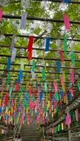 如意輪寺 （かえる寺）の写真・動画_image_1746983