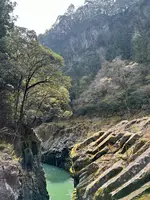高千穂峡の写真・動画_image_1746992