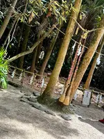 青島神社の写真・動画_image_1747005