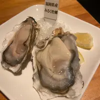 oyster&wine kitchen Kの写真・動画_image_1754339