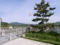 渡月橋の写真・動画_image_176486