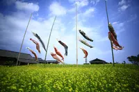 二十四の瞳映画村の写真・動画_image_1784593