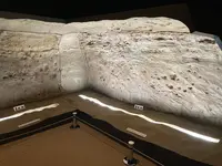 山元町歴史民俗資料館の写真・動画_image_1785832