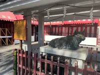 御神牛（亀戸天神社）の写真・動画_image_1786899