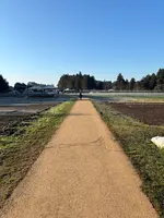 農園リゾート THE FARMの写真・動画_image_1791726