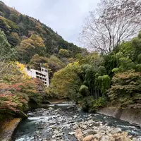紫雲荘の写真・動画_image_1799445