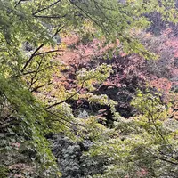 紫雲荘の写真・動画_image_1799450