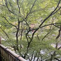 紫雲荘の写真・動画_image_1799452