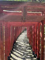 祐徳稲荷神社の写真・動画_image_1803915