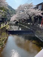 城崎温泉の写真・動画_image_1804324