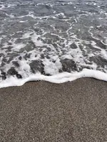 二ツ亀の写真・動画_image_1813583