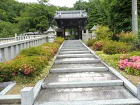 大雲寺の写真・動画_image_181545