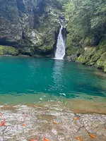にこ淵の写真・動画_image_1819039