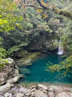 にこ淵の写真・動画_image_1819040