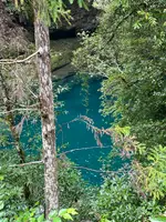 にこ淵の写真・動画_image_1819041