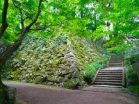 大本花明山植物園の写真・動画_image_200906