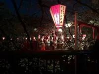 目黒川桜の写真・動画_image_227682