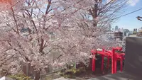 赤城神社の写真・動画_image_227691