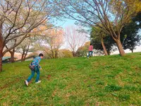 神奈川県立茅ヶ崎里山公園の写真・動画_image_228873
