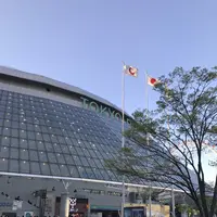 東京ドームの写真・動画_image_230684