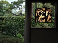 国営昭和記念公園日本庭園の写真・動画_image_231862