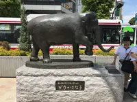 吉祥寺駅 (Kichijōji Sta.)の写真・動画_image_235615