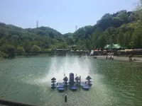 Wonderful Nature Village（わんダフルネイチャーヴィレッジ）の写真・動画_image_236642