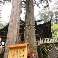 三峯神社の写真・動画_image_238785