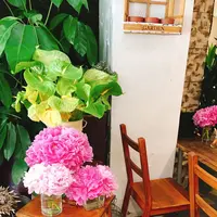 the Flower Apartmentの写真・動画_image_240068