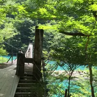 夢の吊橋の写真・動画_image_240810