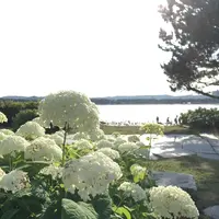 横浜・八景島シーパラダイスの写真・動画_image_245843