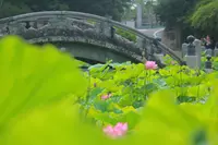 伊賀八幡宮の写真・動画_image_248679
