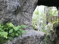 茨城県植物園の写真・動画_image_254768