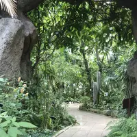 茨城県植物園の写真・動画_image_254769