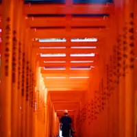 日枝神社の写真・動画_image_262686