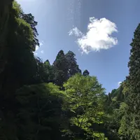 壇鏡の滝の写真・動画_image_265611