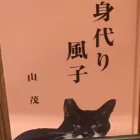 猫カフェ MoCHA（モカ）秋葉原店の写真・動画_image_267927
