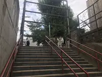 須賀神社の写真・動画_image_268732