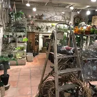 Buriki no Zyoro (ブリキのジョーロ)の写真・動画_image_273588