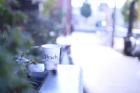 パーチ バイ ウッドベリー コーヒー ロースターズ （Perch by WOODBERRY COFFEE ROASTERS）の写真・動画_image_281281