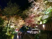 貴船神社の写真・動画_image_283237